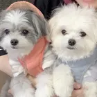 ユーザー画像