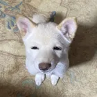ユーザー画像