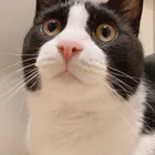 ユーザー画像