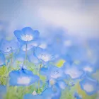 ユーザー画像