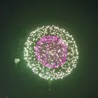 ユーザー画像