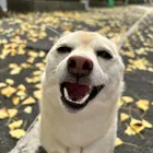 ユーザー画像