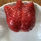 ユーザー画像