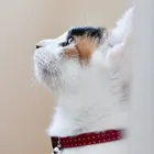 ユーザー画像