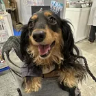 ユーザー画像