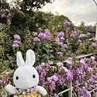 ユーザー画像