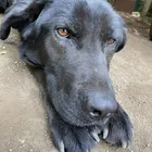 ユーザー画像