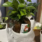 ユーザー画像