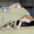 ユーザー画像