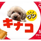 ユーザー画像