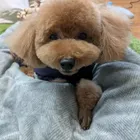 ユーザー画像