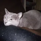 ユーザー画像