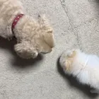 ユーザー画像