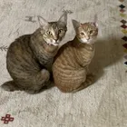 ユーザー画像