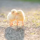 ユーザー画像