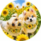 ユーザー画像