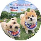ユーザー画像