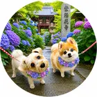 ユーザー画像