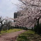 ユーザー画像