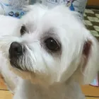 ユーザー画像