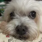 ユーザー画像