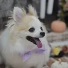 ユーザー画像