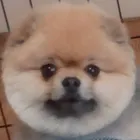 ユーザー画像
