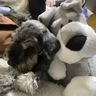ユーザー画像