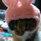 ユーザー画像