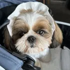 ユーザー画像
