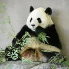 ユーザー画像