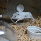 ユーザー画像