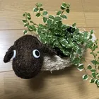 ユーザー画像