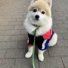 ユーザー画像