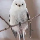 ユーザー画像