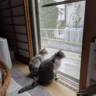 ユーザー画像