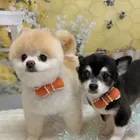 ユーザー画像