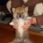 ユーザー画像