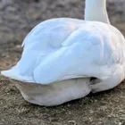 ユーザー画像