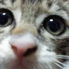 ユーザー画像