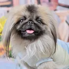 ユーザー画像