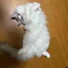 ユーザー画像
