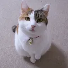 ユーザー画像