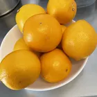すみ