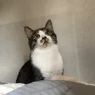 ユーザー画像
