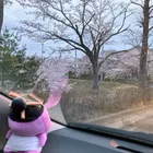 ユーザー画像