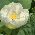 ユーザー画像