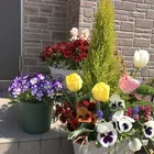 ユーザー画像
