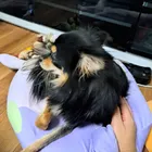 ユーザー画像