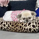 ユーザー画像